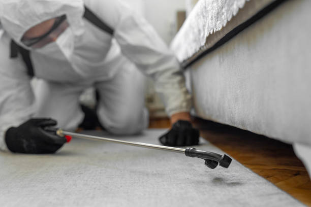 Professional Pest Control technician working in Trumbull County County, OH